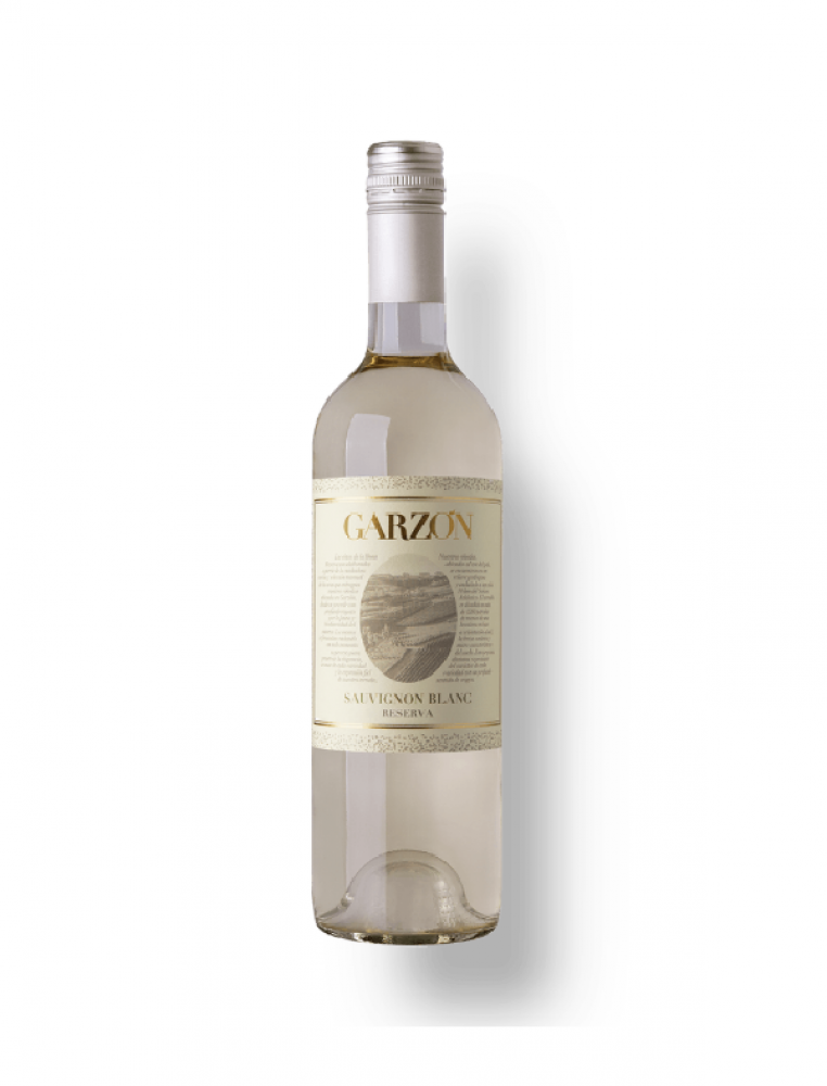 Garzón Reserva 2023 Sauvignon Blanc